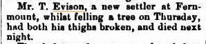 From the Armidale Express and New England General Advertiser - Friday 23 July 1880
