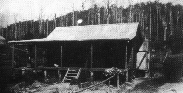 Frank & Linda’s first home at Red Hill, near Coffs Harbour. (c. 1926)